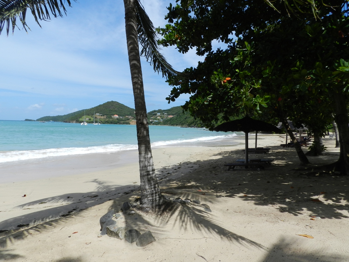 Plage sauvage